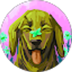 Profile photo of Lexi