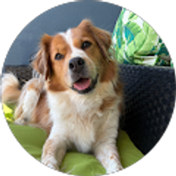 Profile photo of Kate Rohrbaugh