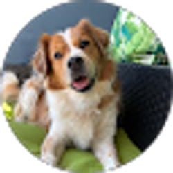 Profile photo of Kate Rohrbaugh