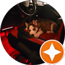 Profile photo of ALONSO K.