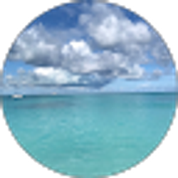 Profile photo of Katherine Tower