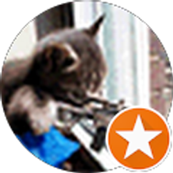 Profile photo of Kan Lalli