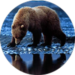 Profile photo of Ron Joubert