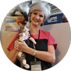 Profile photo of Wendy Lippold