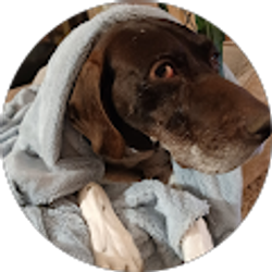 Profile photo of Tami Kennedy