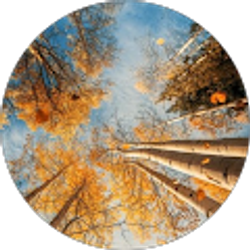 Profile photo of S Barylski