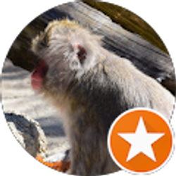 Profile photo of Becky Birkhimer