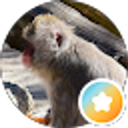 Profile photo of Becky Birkhimer