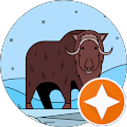 Profile photo of Jose Rojas