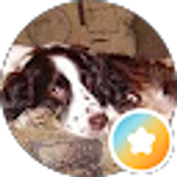 Profile photo of preciousmet1