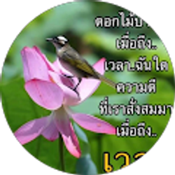 Profile photo of Noi Sombath