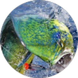 Profile photo of Amy Dukes - SCDNR