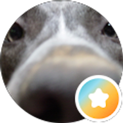 Profile photo of Karen Cody