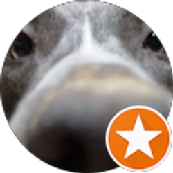 Profile photo of Karen Cody