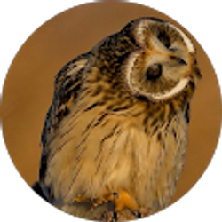 Profile photo of B stamm