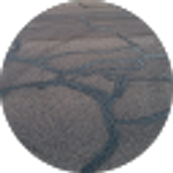 Profile photo of Deloris Mitchell