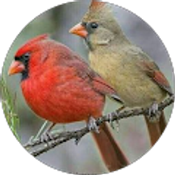 Profile photo of K Hendrick