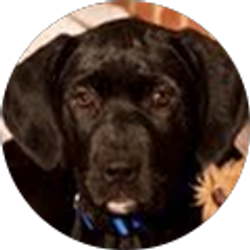 Profile photo of Mary Graybeal