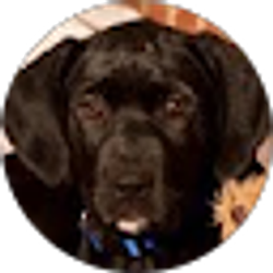 Profile photo of Mary Graybeal