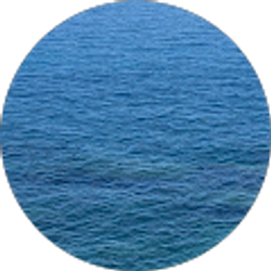 Profile photo of Aaron Fuentes