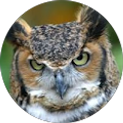 Profile photo of Stacey Beacham