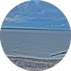 Profile photo of Lilian Bonilla