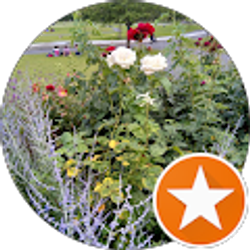 Profile photo of E Addison