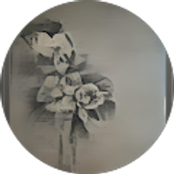 Profile photo of Aiden R