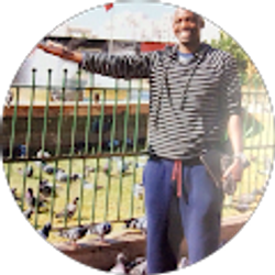 Profile photo of iba gueye