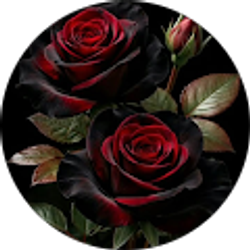 Profile photo of Victoria Sullivan