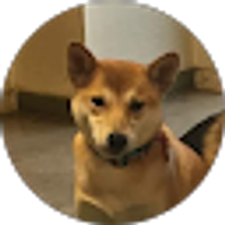 Profile photo of Nate Lester
