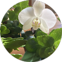 Profile photo of Ashley M