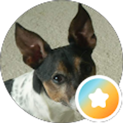 Profile photo of Jake Pippins