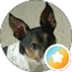 Profile photo of Jake Pippins