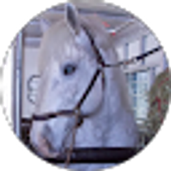 Profile photo of Carol Hill