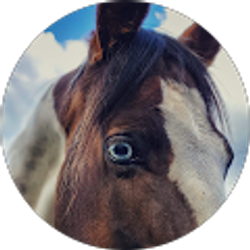 Profile photo of Central Oregon Ranch Services