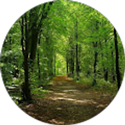 Profile photo of Absolute Choices Therapy. Com