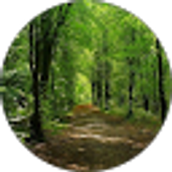Profile photo of Absolute Choices Therapy. Com
