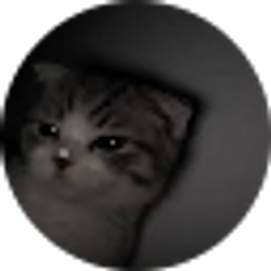 Profile photo of Jaylynn Karshnockk