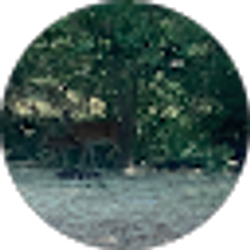 Profile photo of Tim Clark