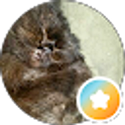 Profile photo of Richard A