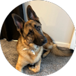 Profile photo of J c