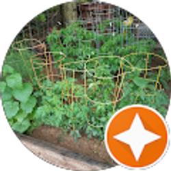 Profile photo of Maxim Henze