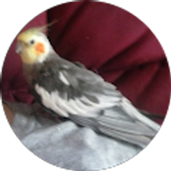 Profile photo of valerie green