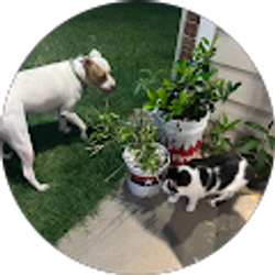 Profile photo of Rupert