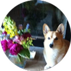 Profile photo of Connie Hass