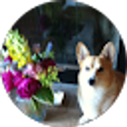 Profile photo of Connie Hass