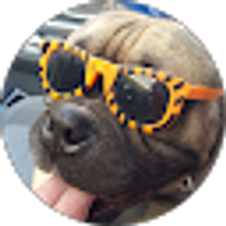 Profile photo of christie sotelo