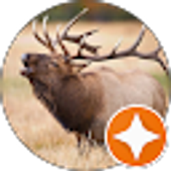 Profile photo of Carlos Lopez