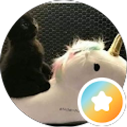 Profile photo of Alex F